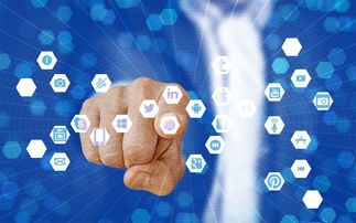 乐鱼体育平台官网-篮球专项技能教学视频资源创新开发，篮球技术教学