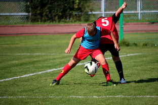 中国足球俱乐部运营效率调查，中国足球俱乐部运营效率调查问卷